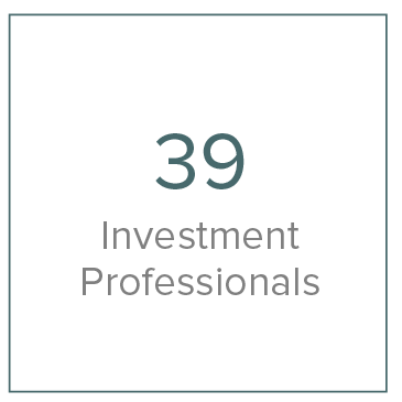 no-invest-professionals