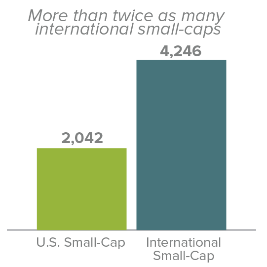 Number of Stock in International Small-Cap